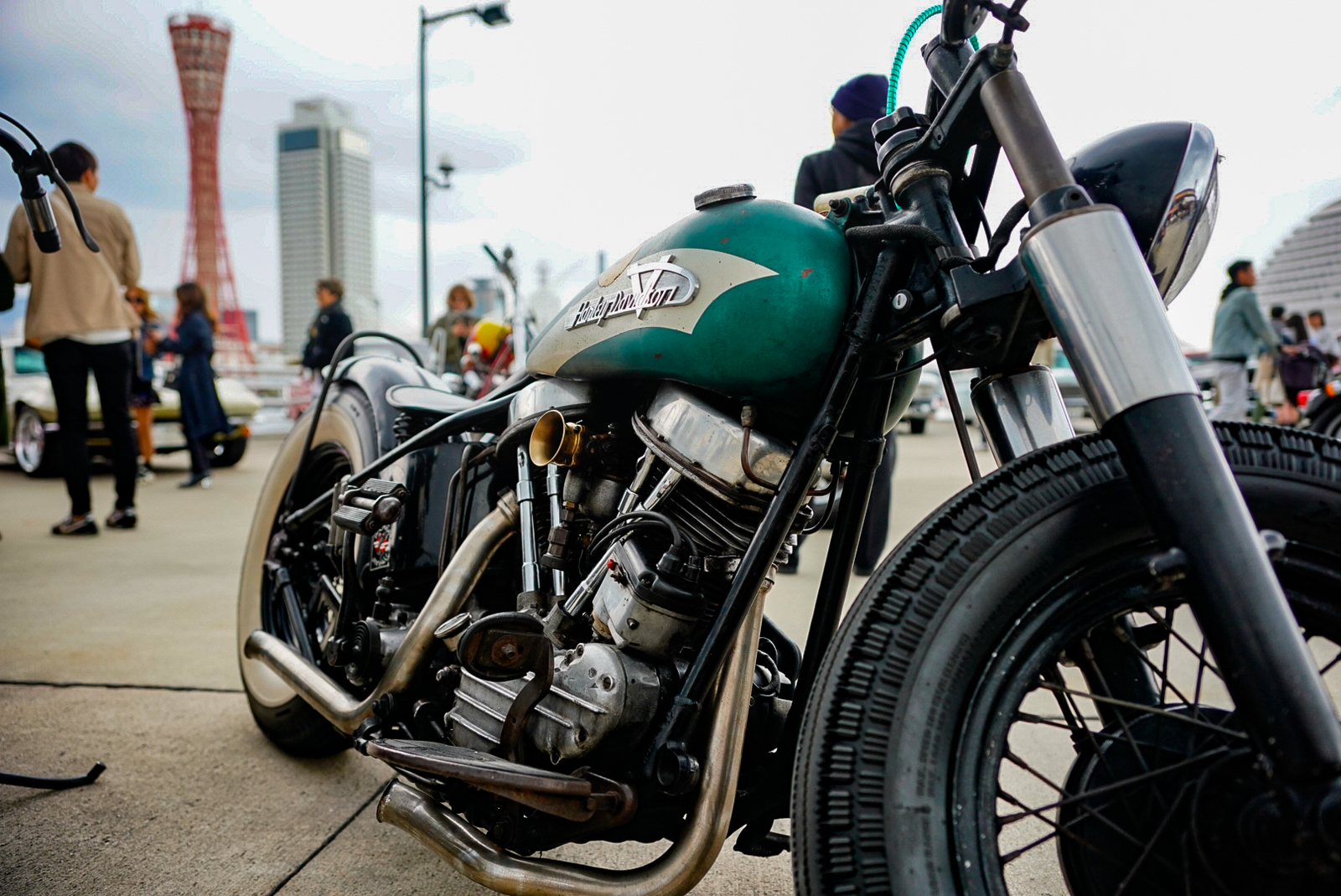 f:id:zo5ur53kle:20190331203323j:plain