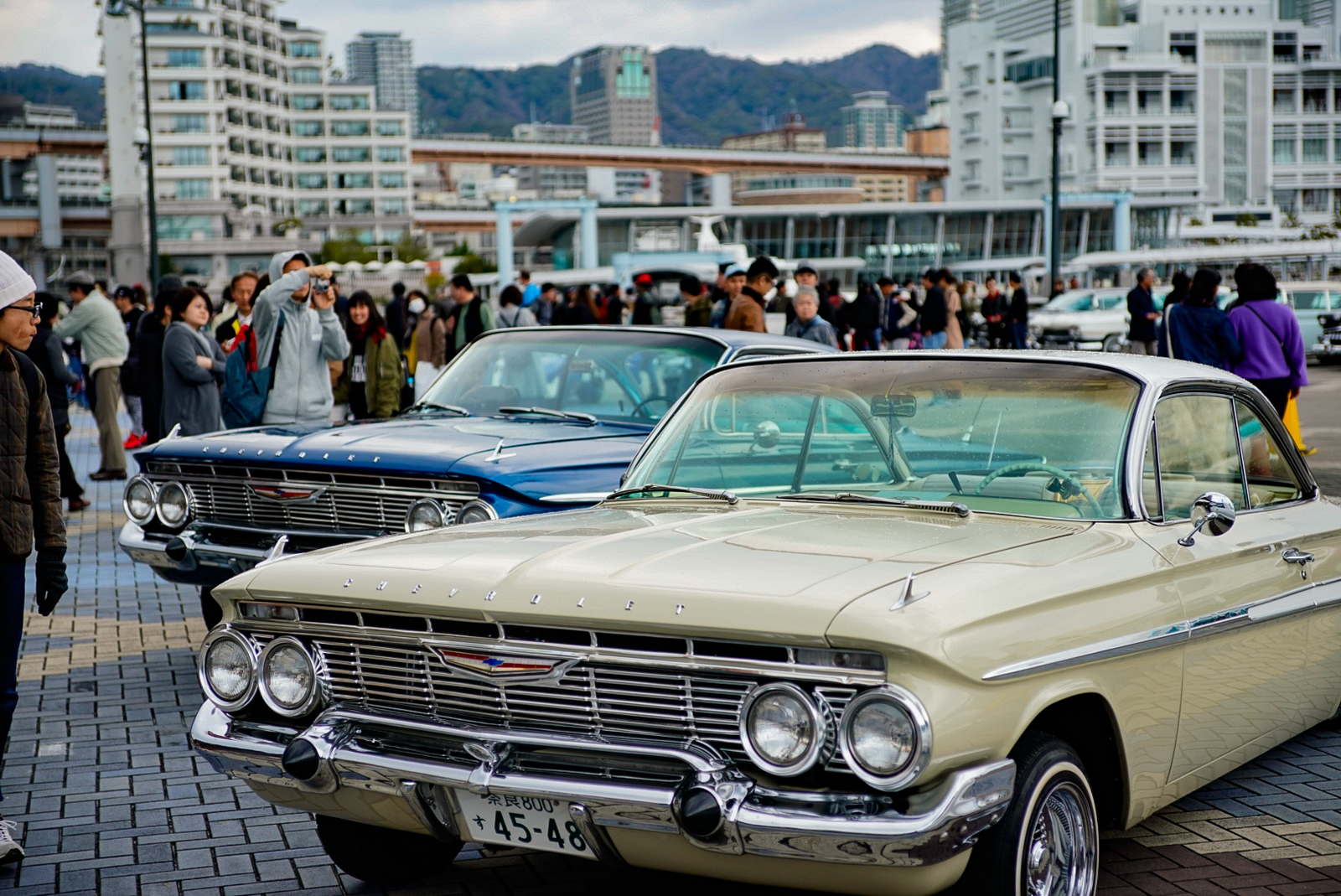 f:id:zo5ur53kle:20190331203427j:plain