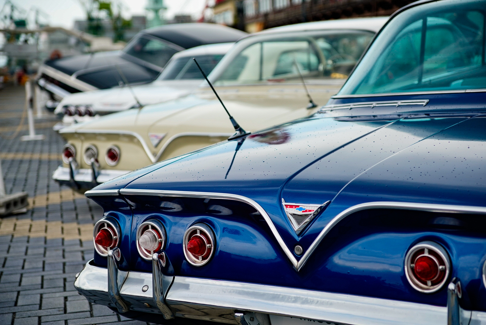 f:id:zo5ur53kle:20190331203437j:plain