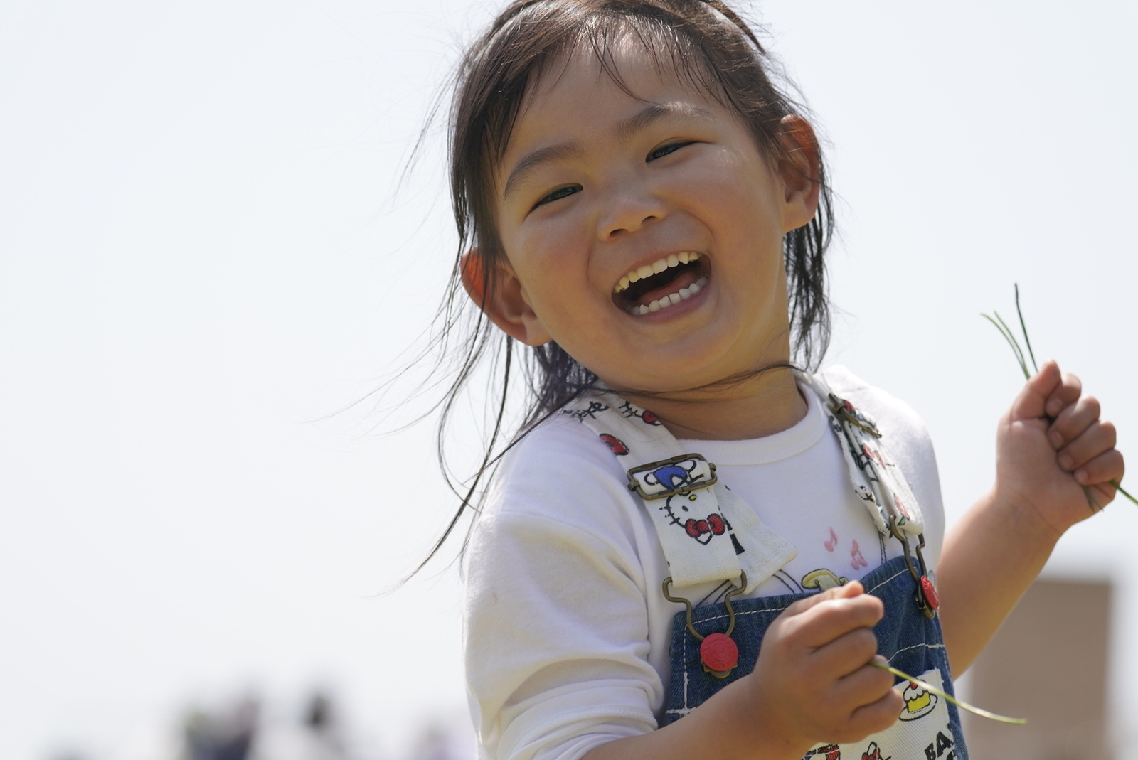 f:id:zo5ur53kle:20190512220704j:plain