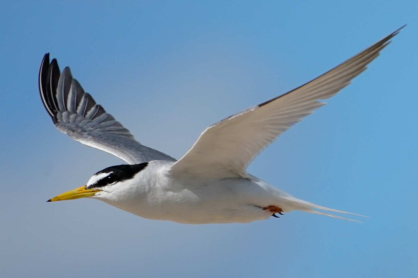 f:id:zo5ur53kle:20190616221944j:plain