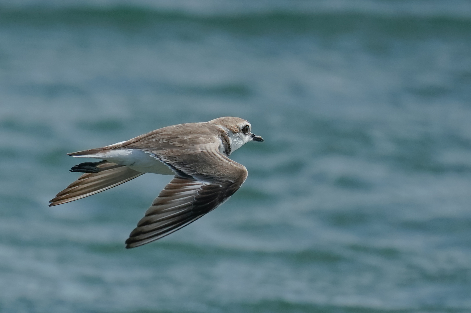 f:id:zo5ur53kle:20190616222131j:plain