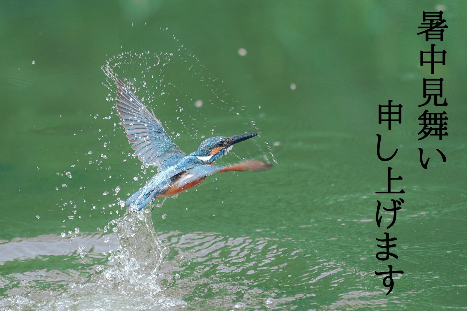 f:id:zo5ur53kle:20190803213333j:plain