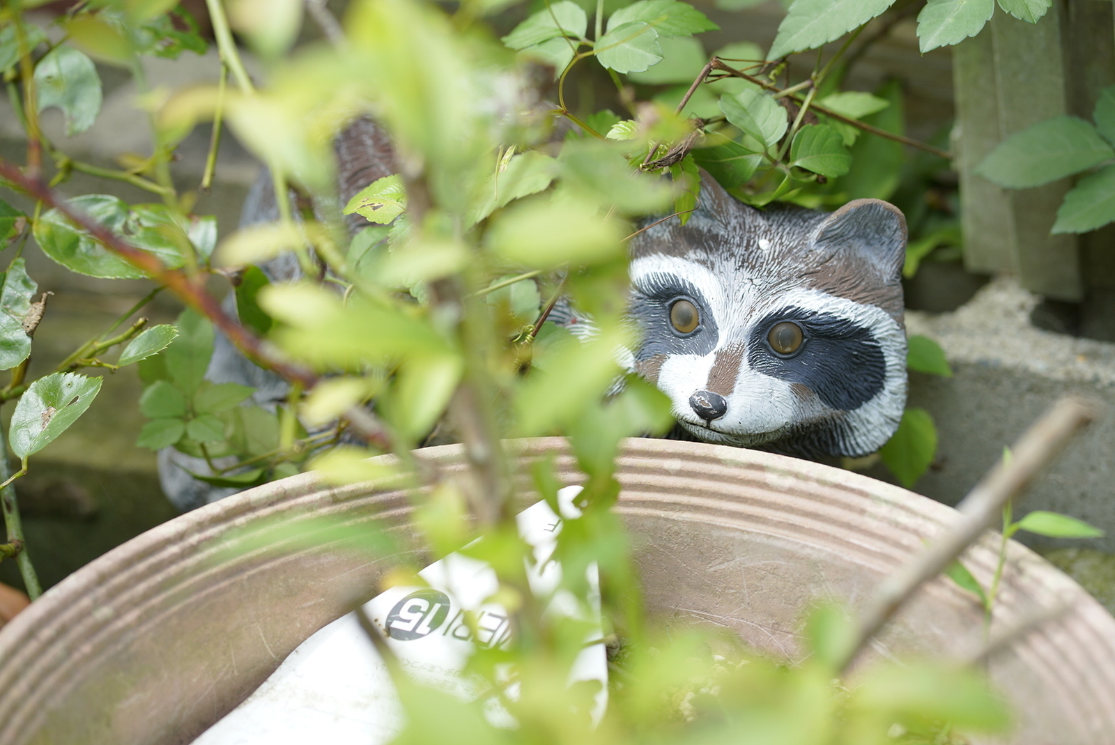 f:id:zo5ur53kle:20190817083213j:plain