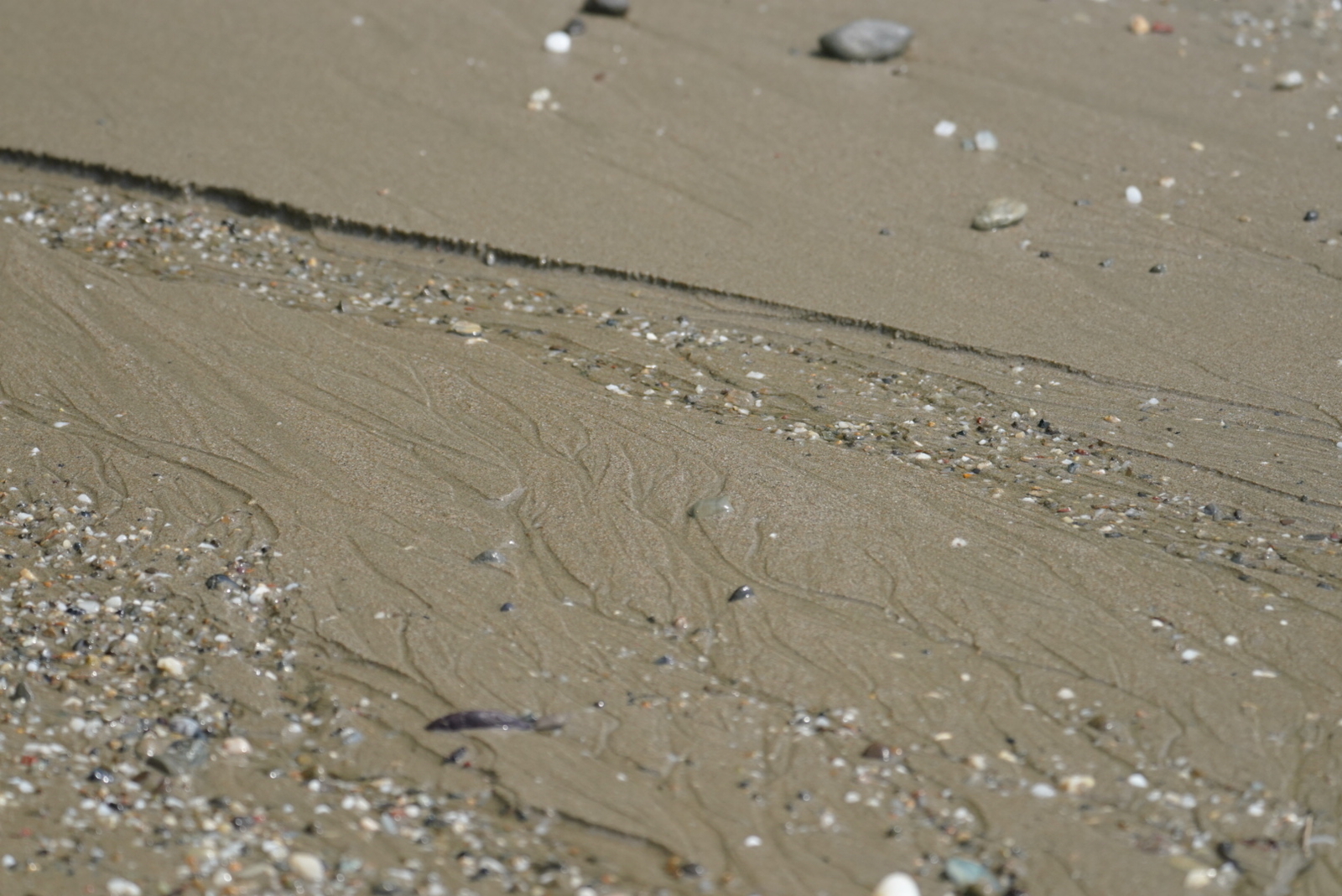 f:id:zo5ur53kle:20190817083431j:plain