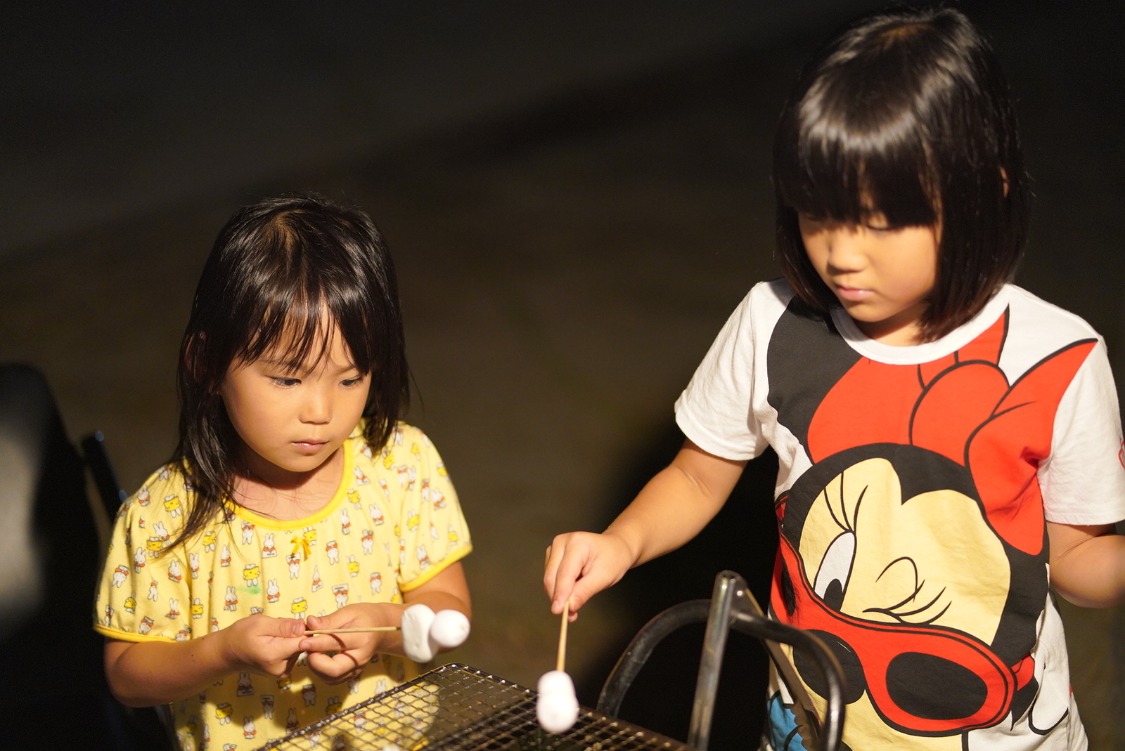 f:id:zo5ur53kle:20190817083721j:plain