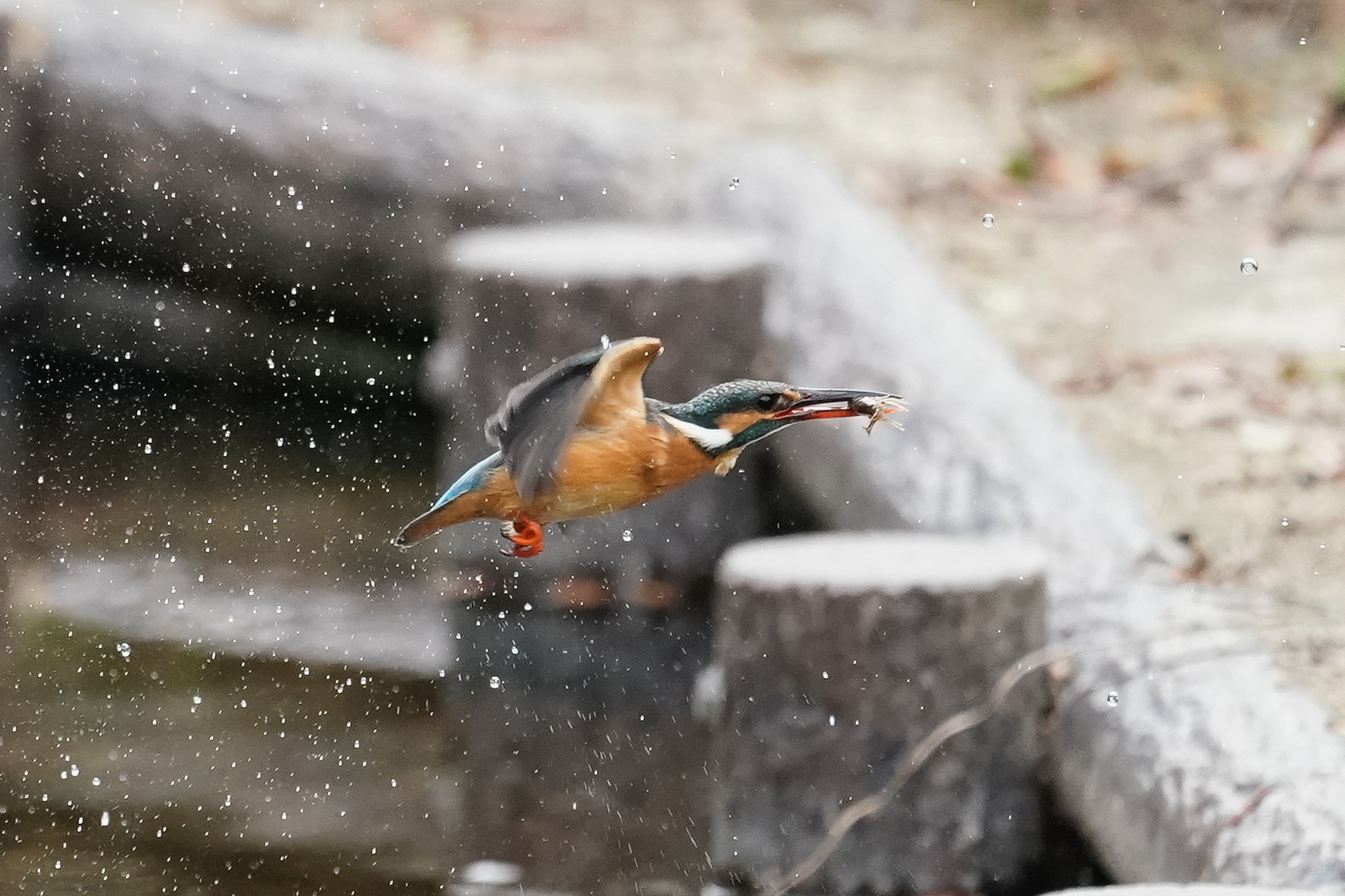 f:id:zo5ur53kle:20200115171605j:plain