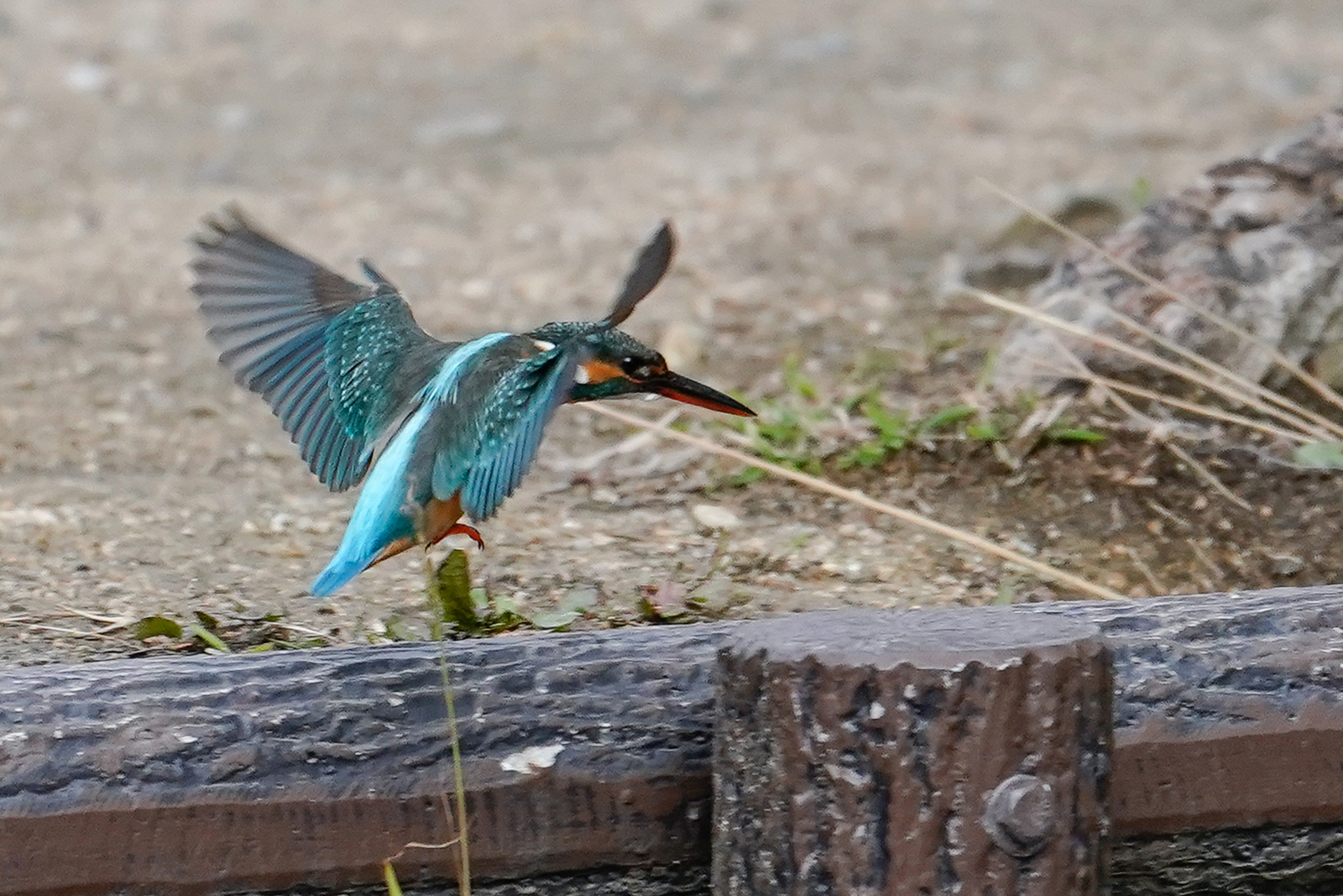 f:id:zo5ur53kle:20200126194641j:plain