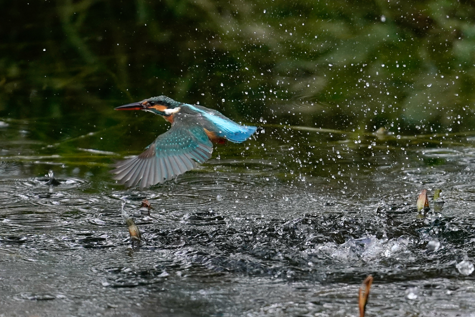 f:id:zo5ur53kle:20200126194808j:plain