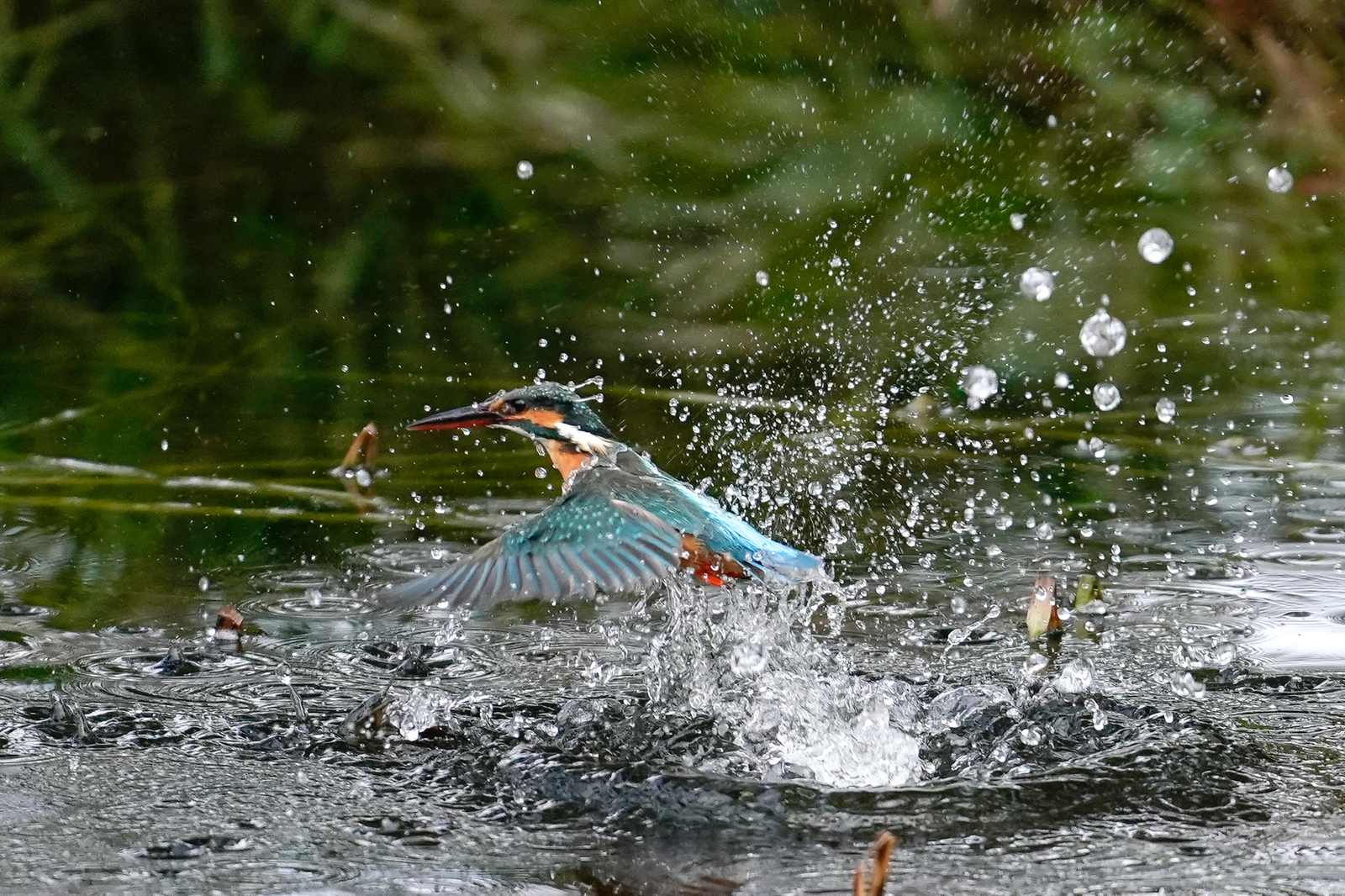 f:id:zo5ur53kle:20200126194818j:plain