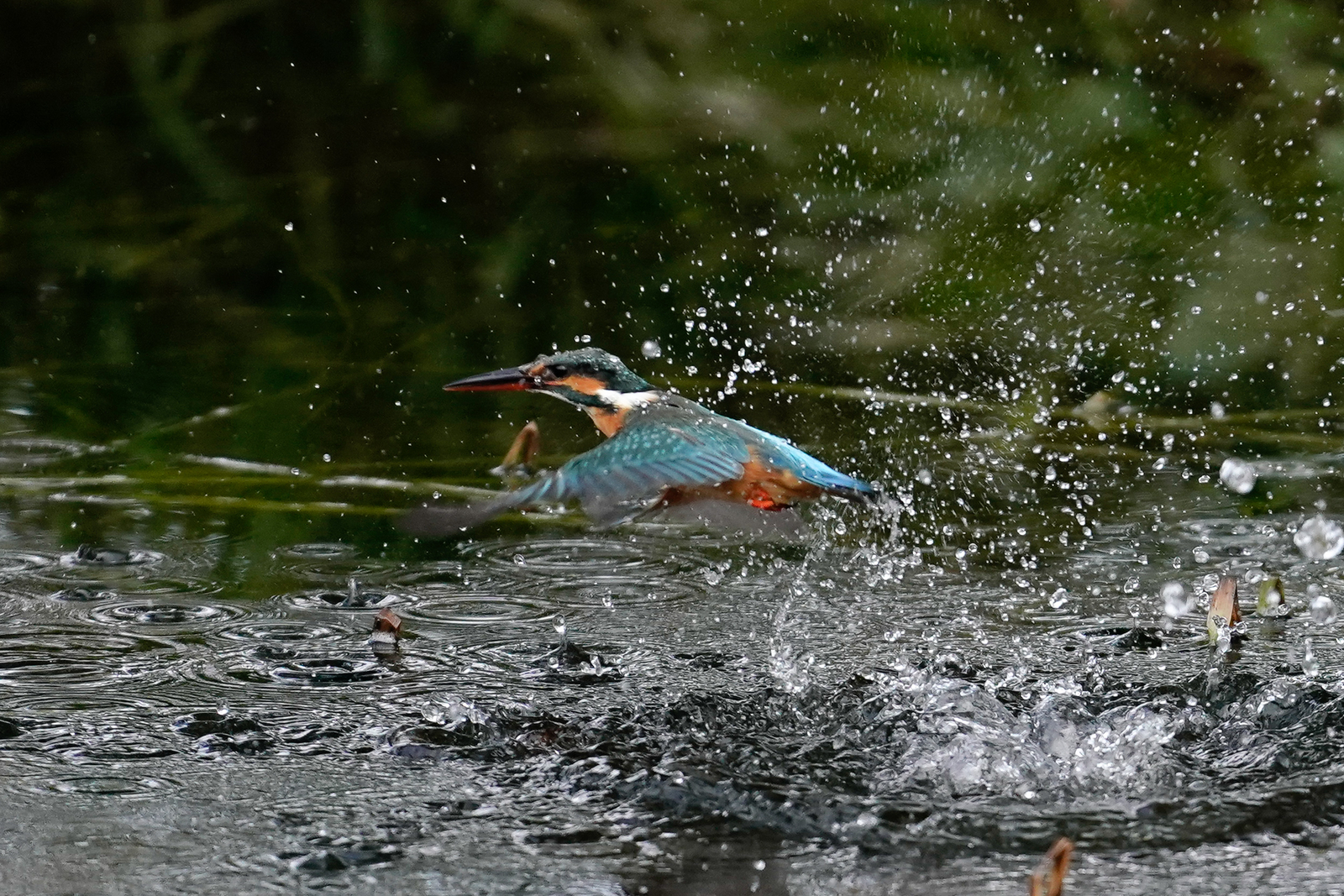 f:id:zo5ur53kle:20200126194827j:plain