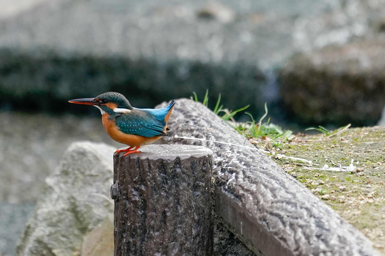 f:id:zo5ur53kle:20200126194934j:plain