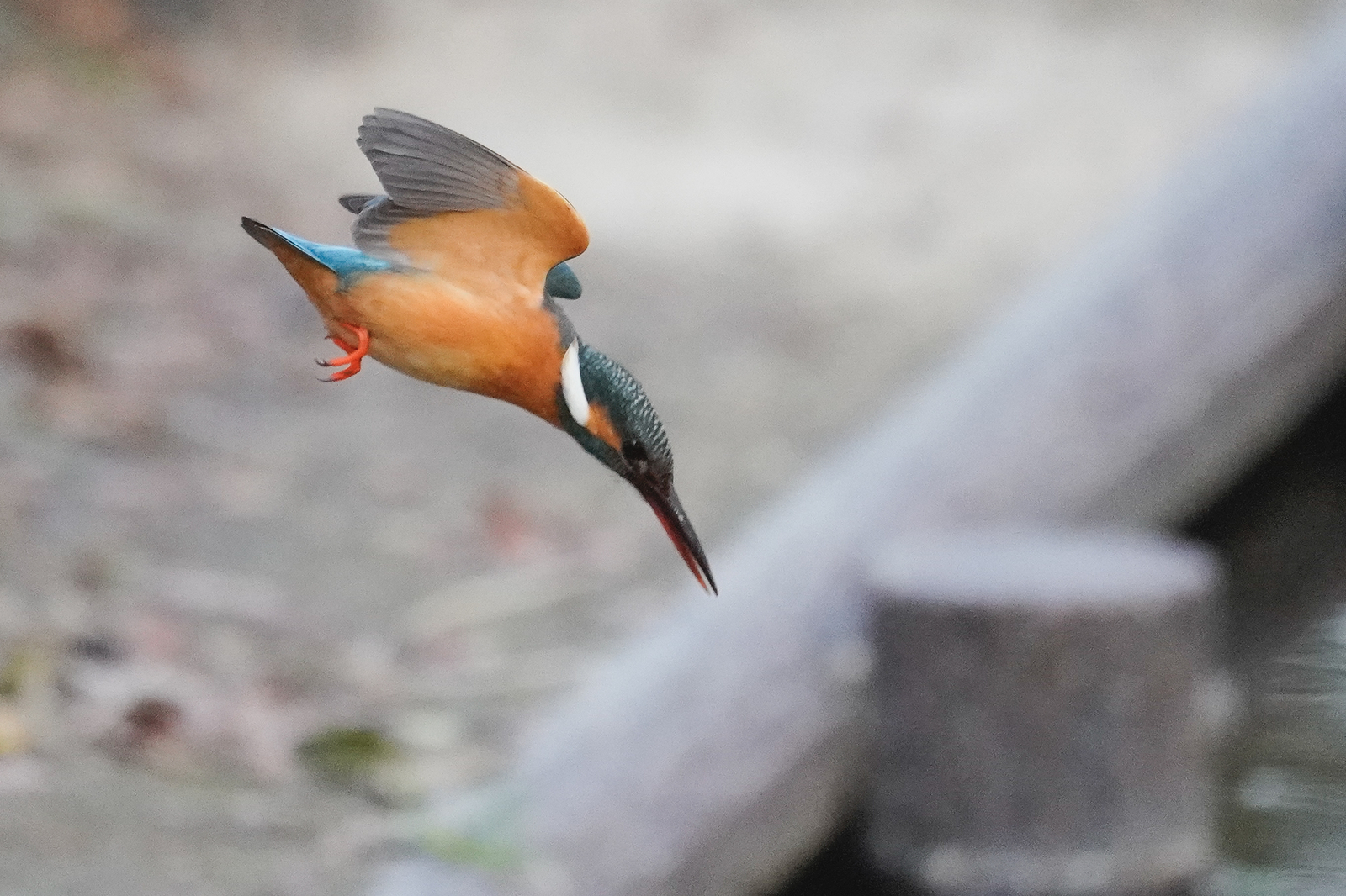 f:id:zo5ur53kle:20200201190858j:plain