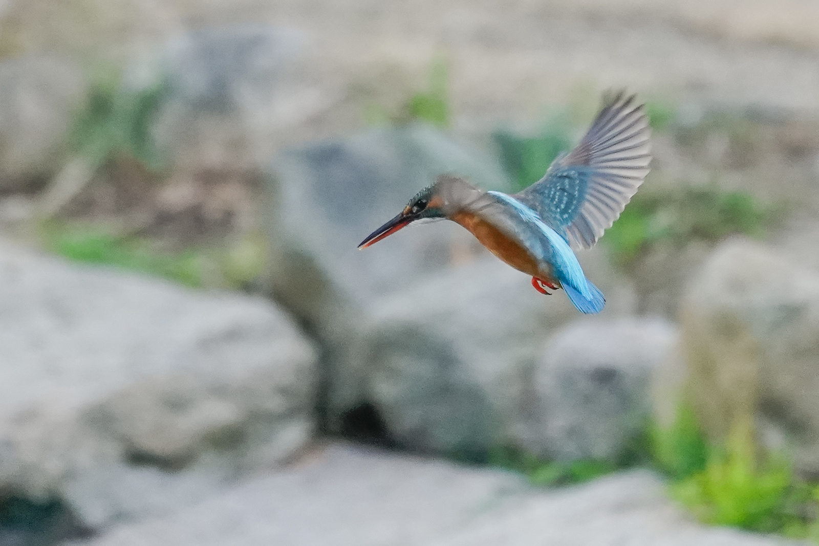 f:id:zo5ur53kle:20200201221145j:plain