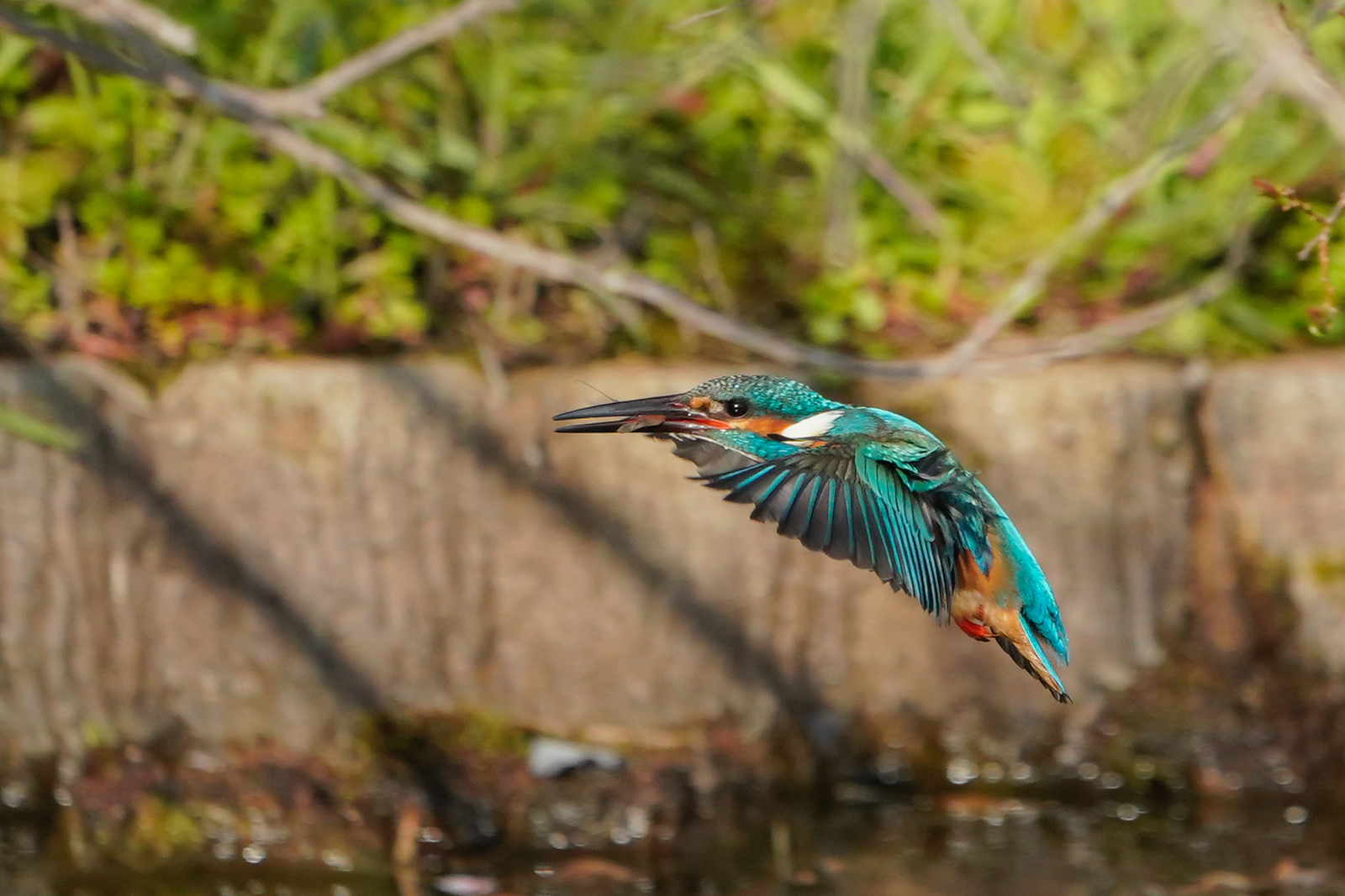 f:id:zo5ur53kle:20200411172523j:plain