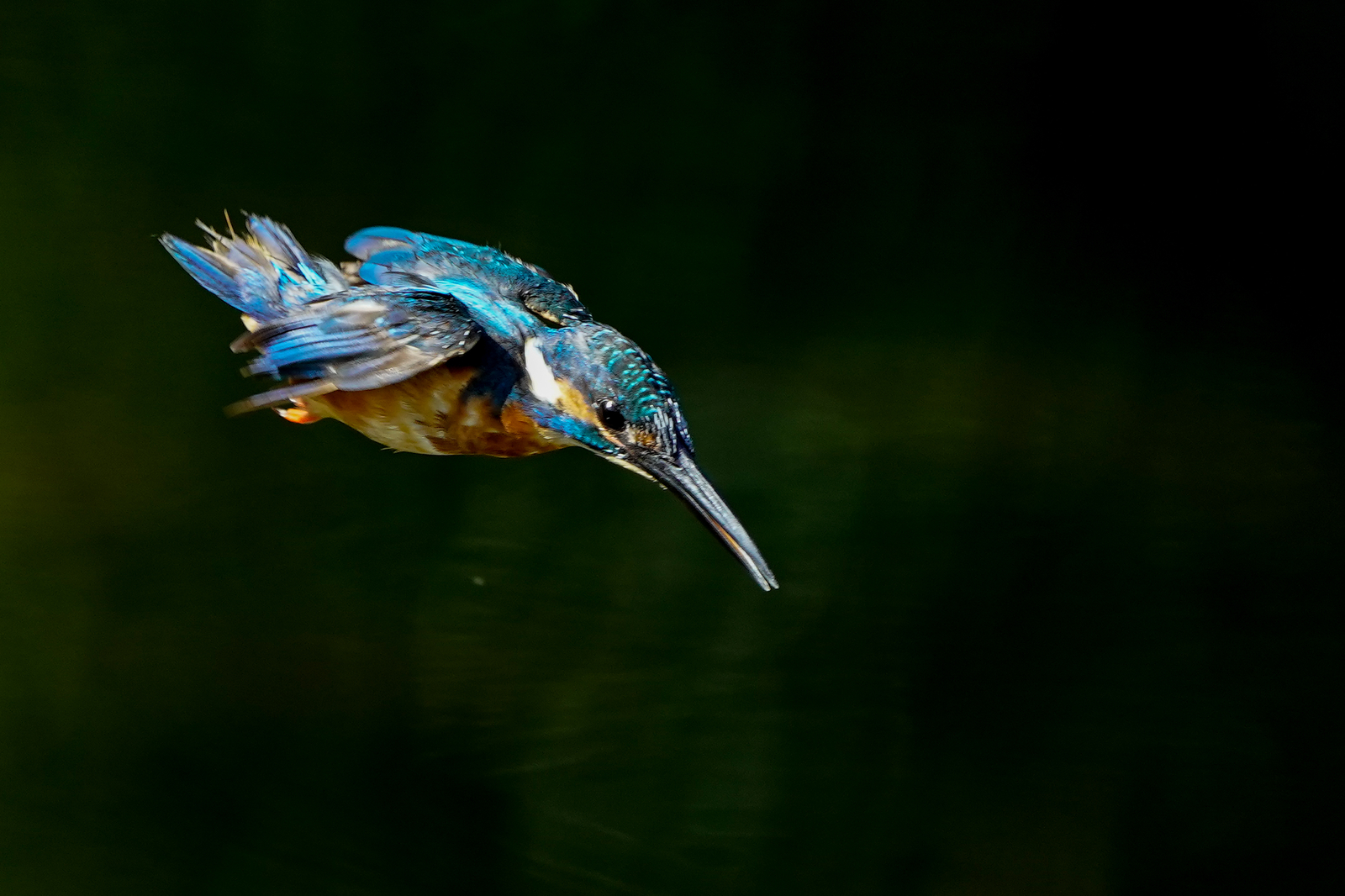 f:id:zo5ur53kle:20200816210456j:plain