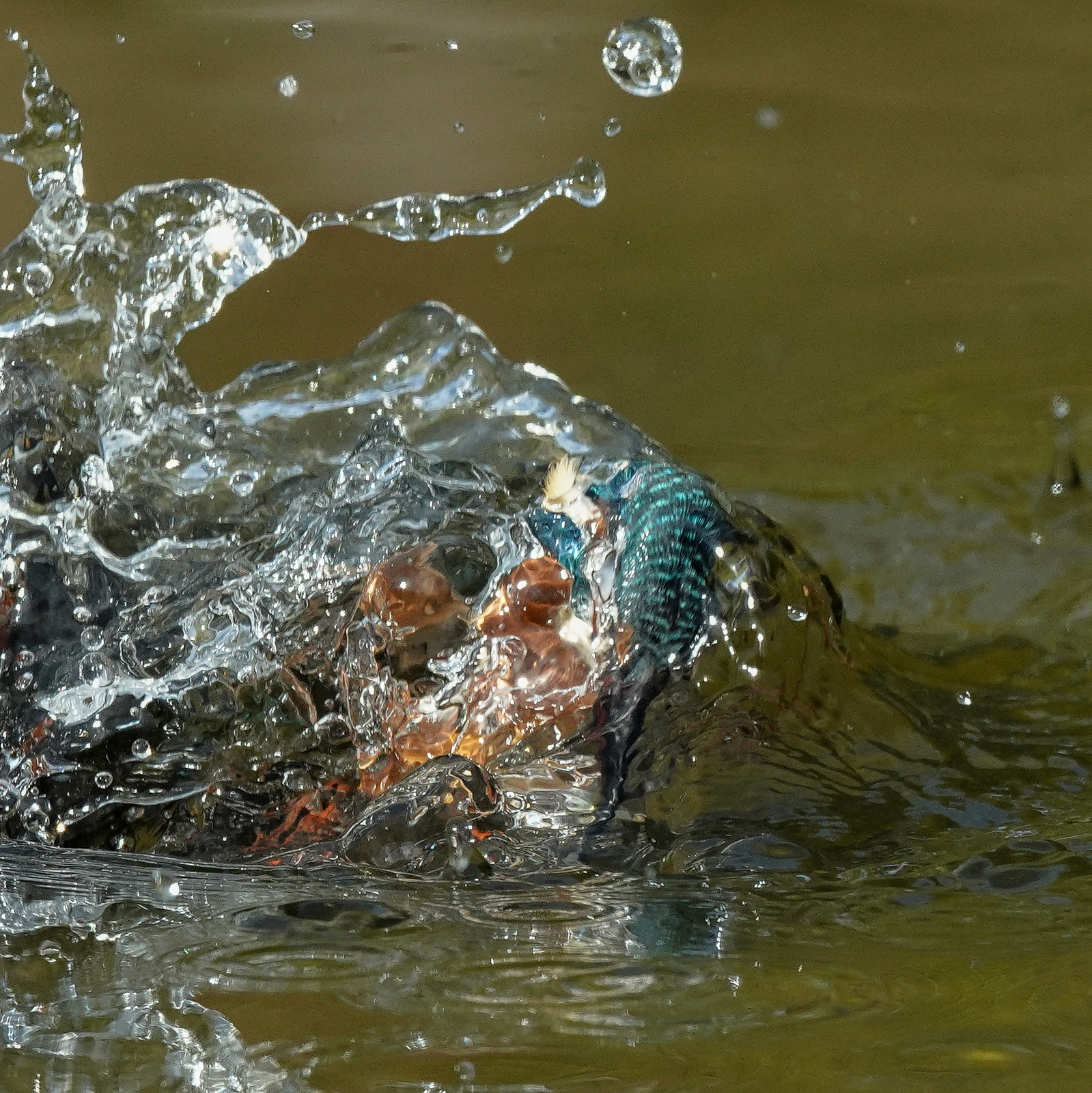 f:id:zo5ur53kle:20201105225028j:plain