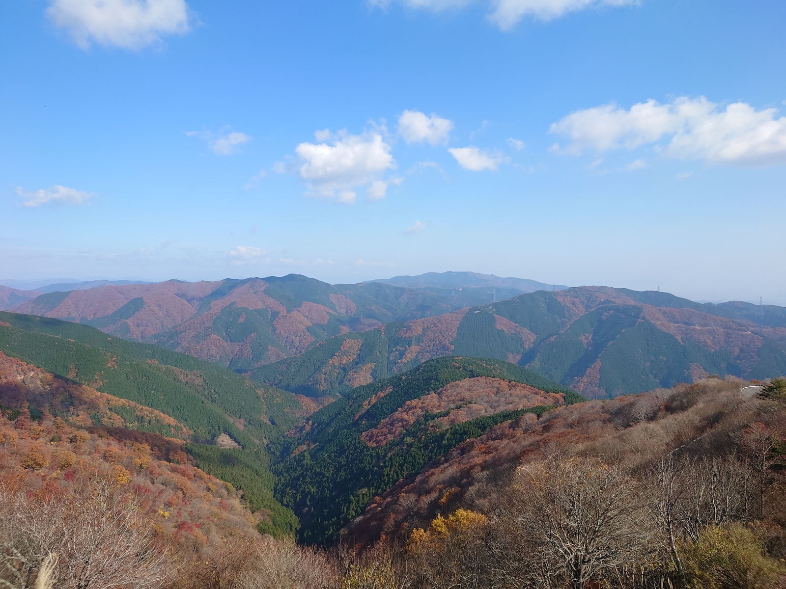 f:id:zo5ur53kle:20211121212152j:plain