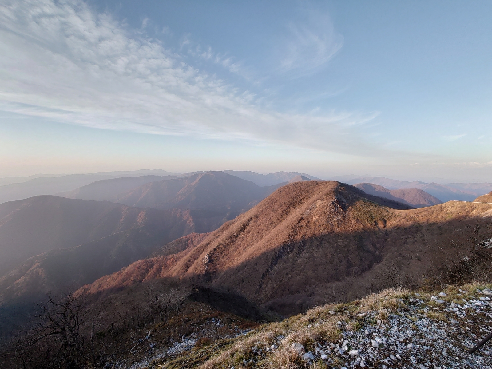 f:id:zo5ur53kle:20211121212243j:plain