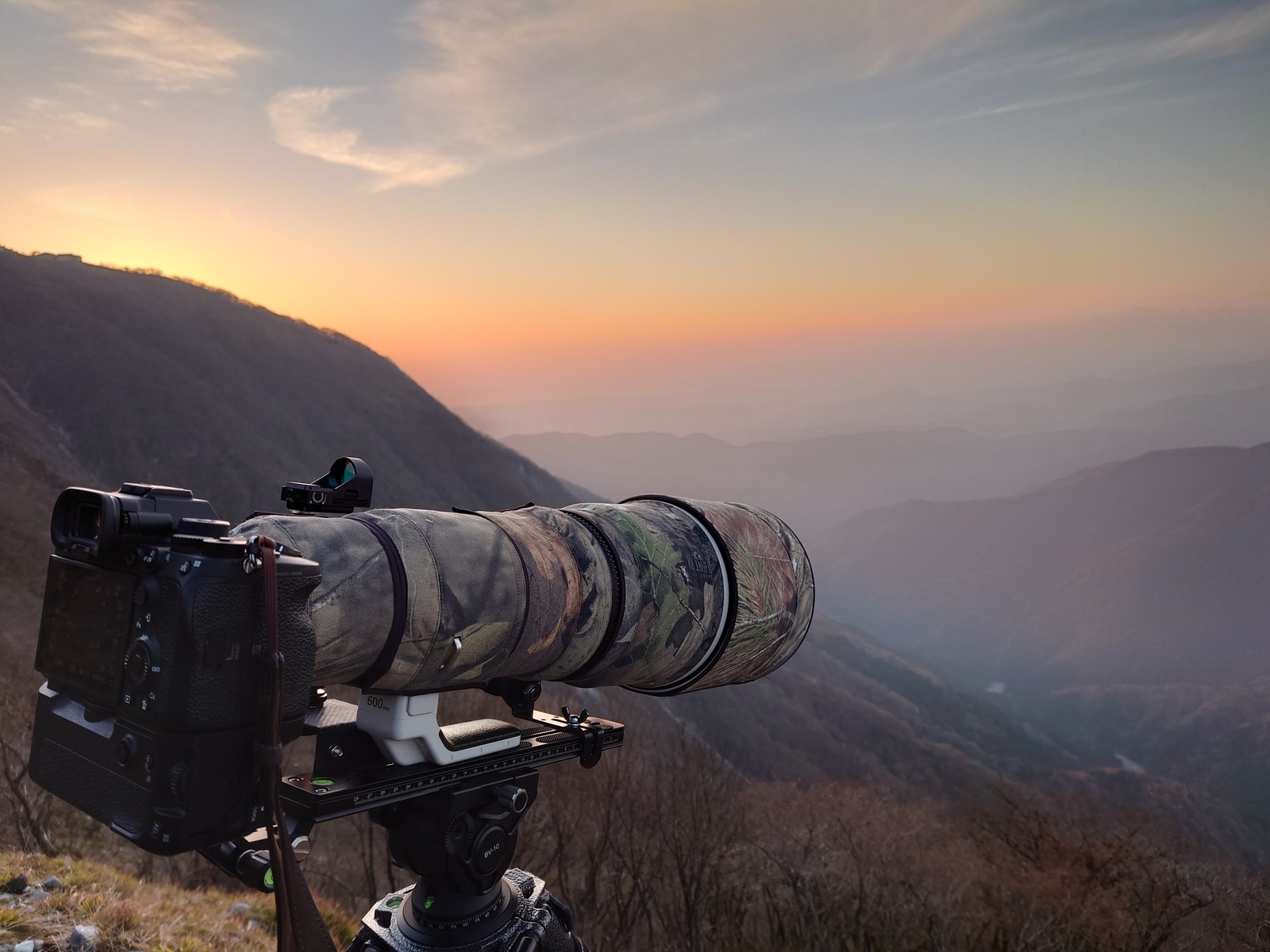 f:id:zo5ur53kle:20211121212300j:plain