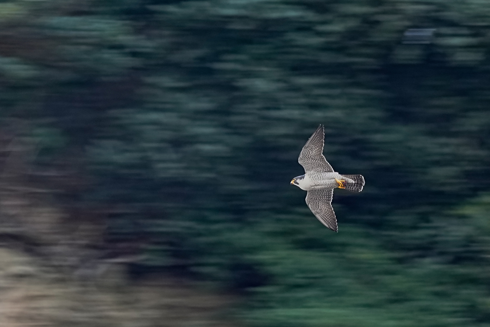 f:id:zo5ur53kle:20220220004826j:plain