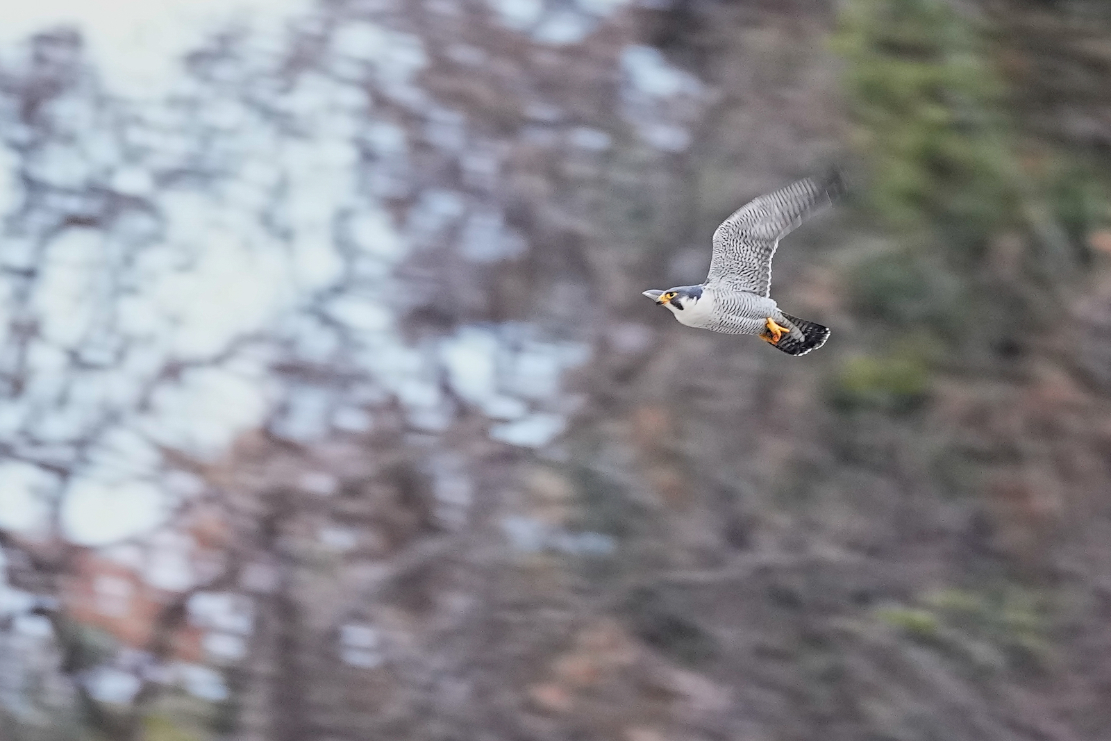 f:id:zo5ur53kle:20220220004839j:plain