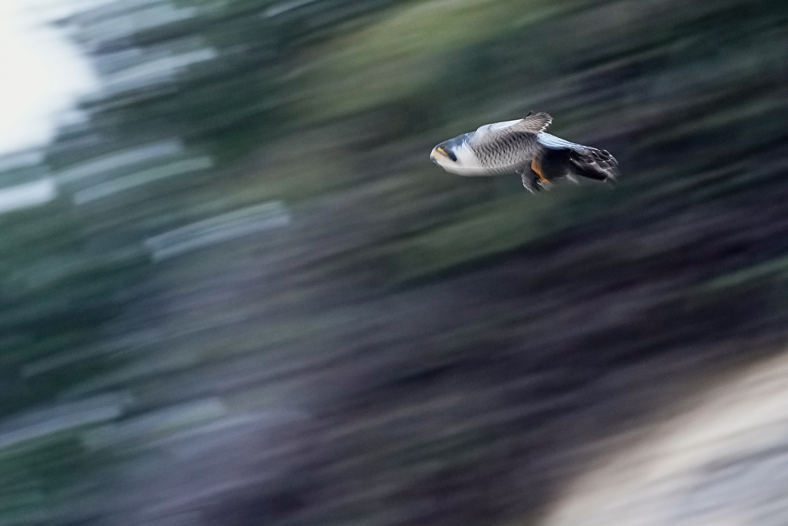 f:id:zo5ur53kle:20220220004900j:plain