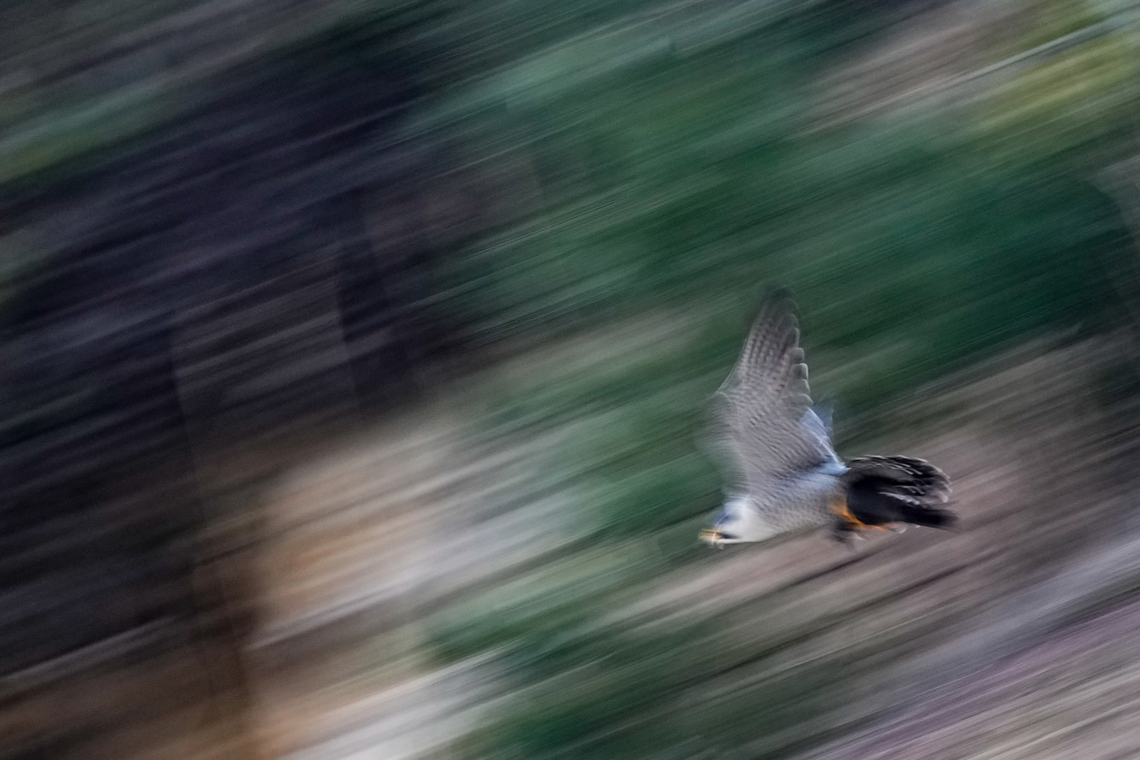 f:id:zo5ur53kle:20220220004910j:plain