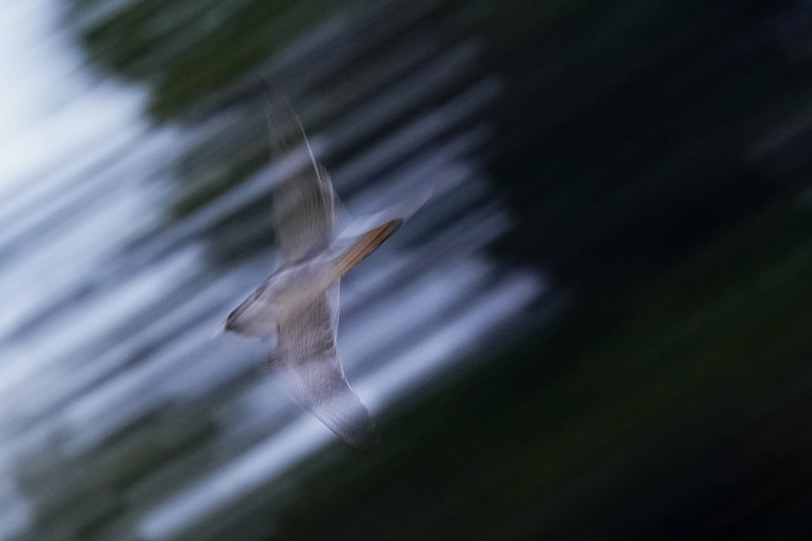 f:id:zo5ur53kle:20220220004920j:plain