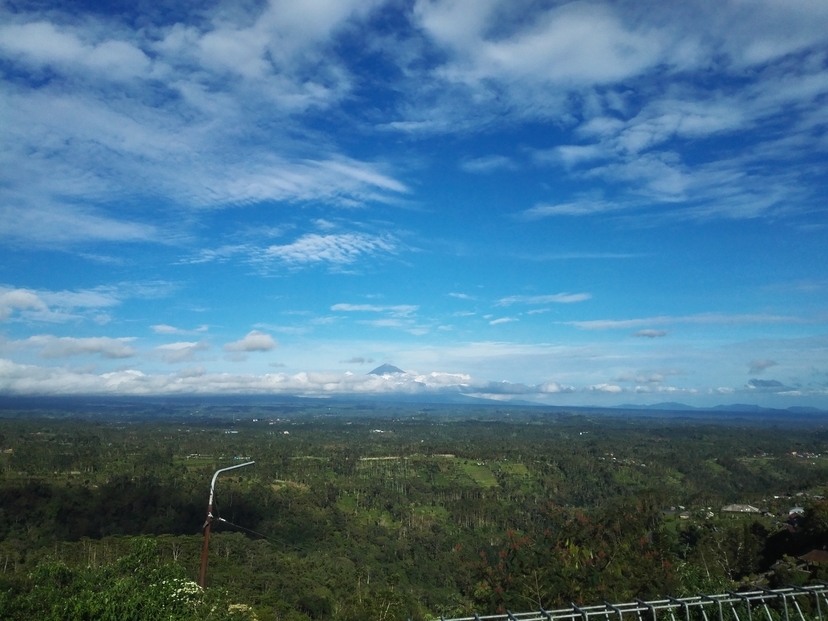 f:id:zochanking:20190801225535j:plain