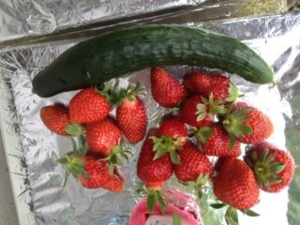f:id:zoffy87:20120618205211j:image