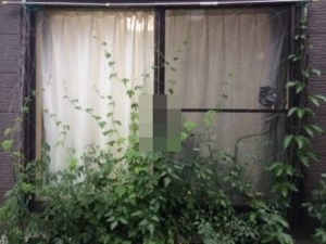 f:id:zoffy87:20150628205448j:image