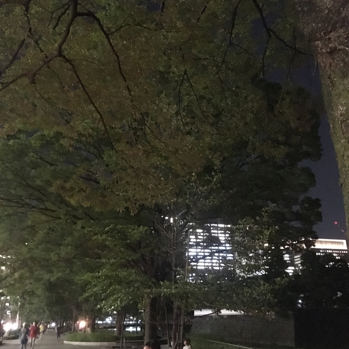 f:id:zokkon:20190925192212j:plain f:id:zokkon:20190925192212j:plain