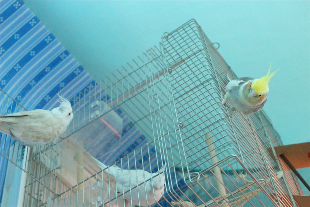 f:id:zombiEVO:20160804002940j:image f:id:zombiEVO:20160804002940j:image