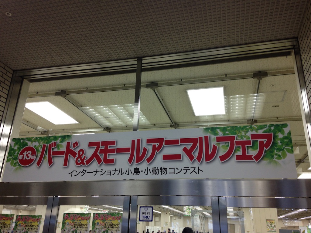 f:id:zombiEVO:20160807133227j:image f:id:zombiEVO:20160807133227j:image