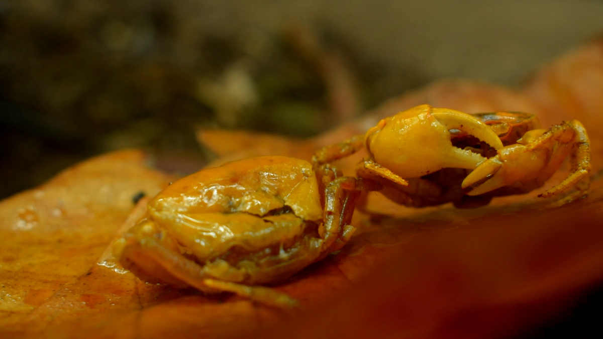 f:id:zombie79:20200912181859j:plain