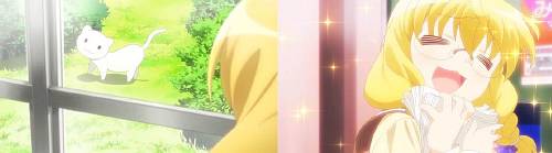 イメージ 8