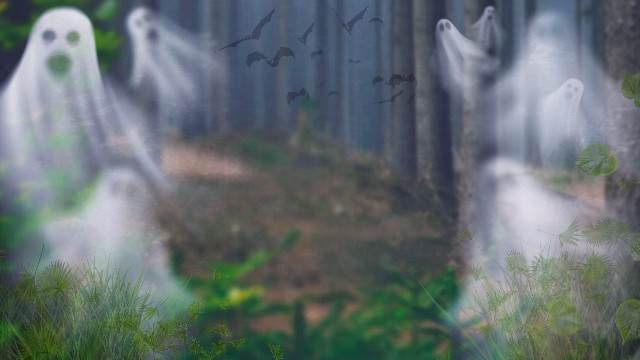 f:id:zombiepalace:20250405004237j:image f:id:zombiepalace:20250405004237j:image