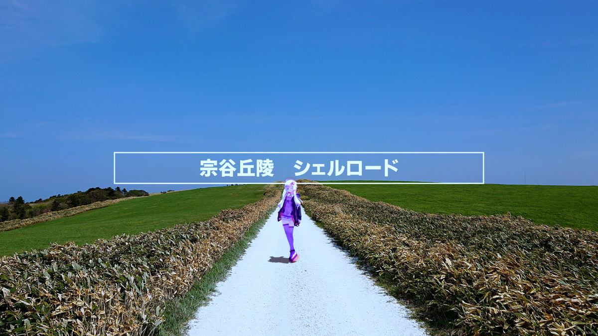 f:id:zomuzomu:20200129182453j:plain