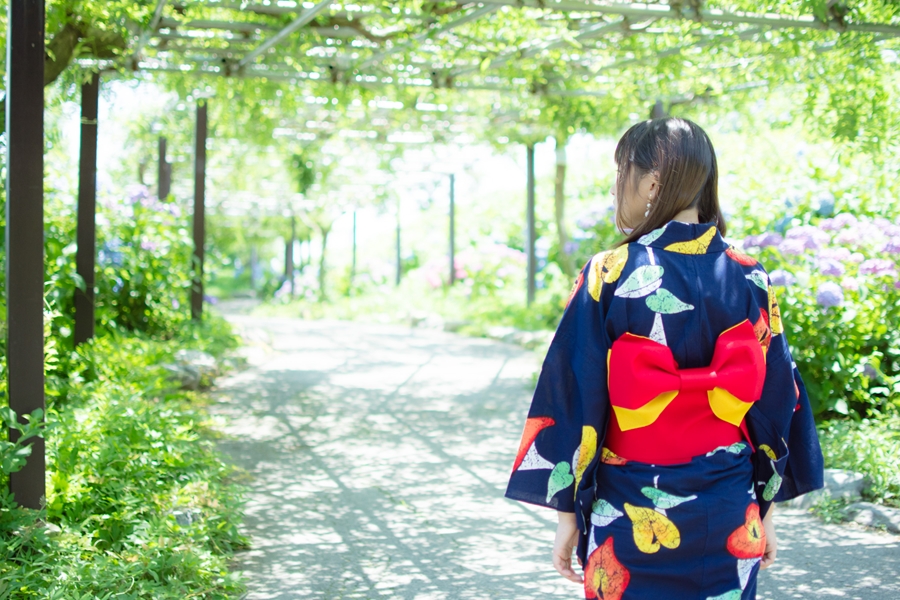 f:id:zoo_1112:20160630071051j:plain f:id:zoo_1112:20160630071051j:plain