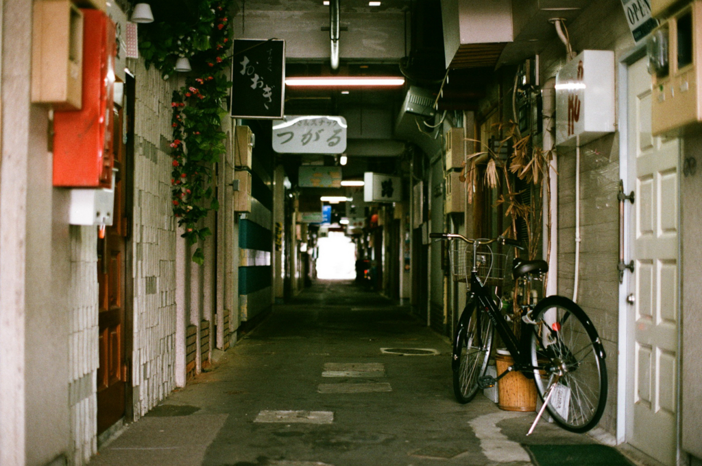 f:id:zoo_1112:20161002225903j:plain