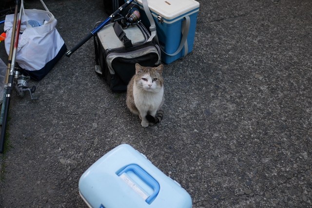 f:id:zoo_1112:20170507112127j:plain f:id:zoo_1112:20170507112127j:plain