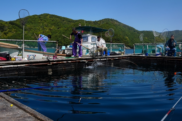 f:id:zoo_1112:20170507112252j:plain f:id:zoo_1112:20170507112252j:plain