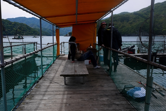 f:id:zoo_1112:20170507112305j:plain f:id:zoo_1112:20170507112305j:plain