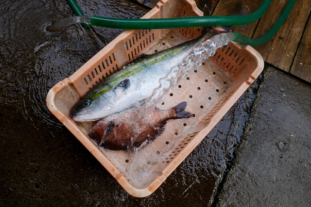 f:id:zoo_1112:20170507112811j:plain f:id:zoo_1112:20170507112811j:plain