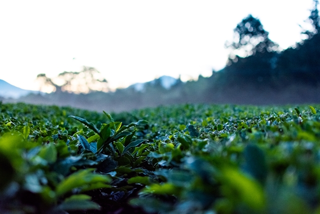 f:id:zoo_1112:20170528202045j:plain f:id:zoo_1112:20170528202045j:plain