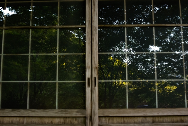 f:id:zoo_1112:20170528202657j:plain f:id:zoo_1112:20170528202657j:plain