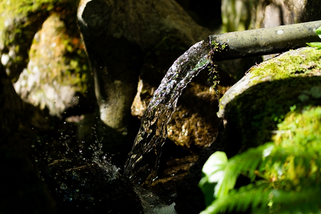 f:id:zoo_1112:20170528203646j:plain f:id:zoo_1112:20170528203646j:plain