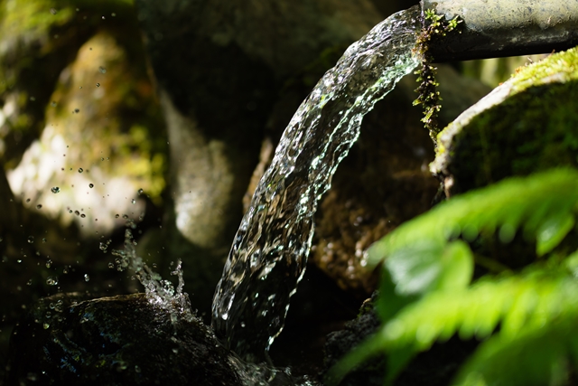 f:id:zoo_1112:20170528203657j:plain f:id:zoo_1112:20170528203657j:plain