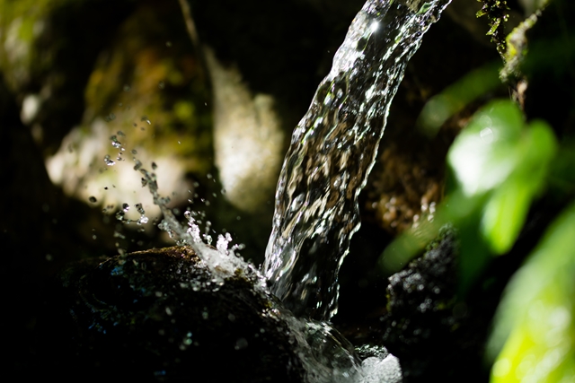 f:id:zoo_1112:20170528203705j:plain f:id:zoo_1112:20170528203705j:plain